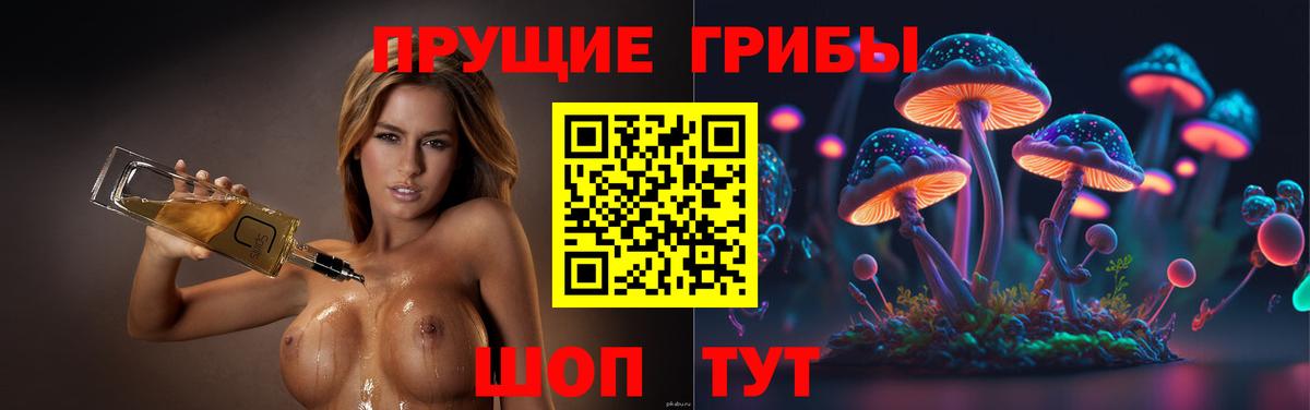 Махачкала  наркотики  Вход с VPN  Псилоцибиновые грибы прущие грибы 